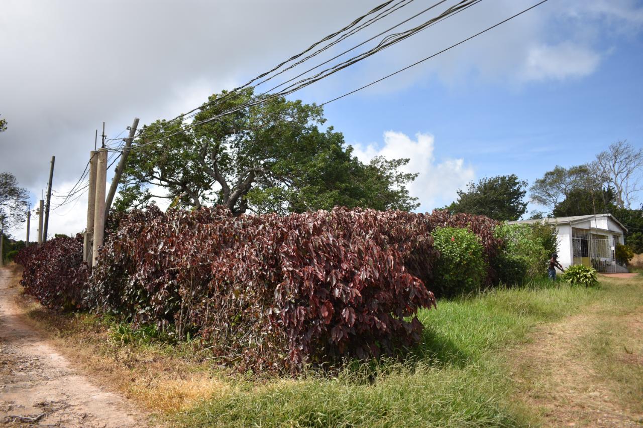 Fifth image of Spur Tree in Spur Tree, Manchester, Jamaica - property is For Sale