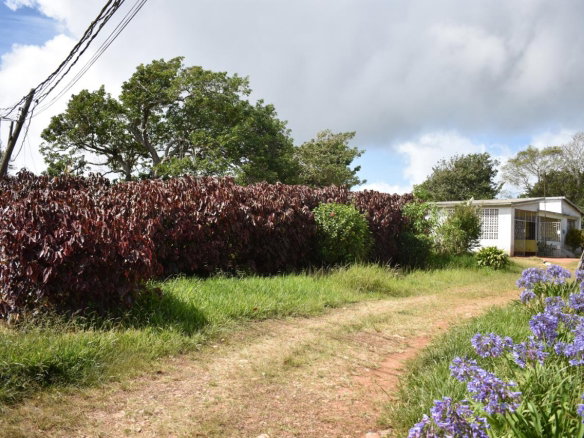 First image of Spur Tree in Spur Tree, Manchester, Jamaica - property is For Sale