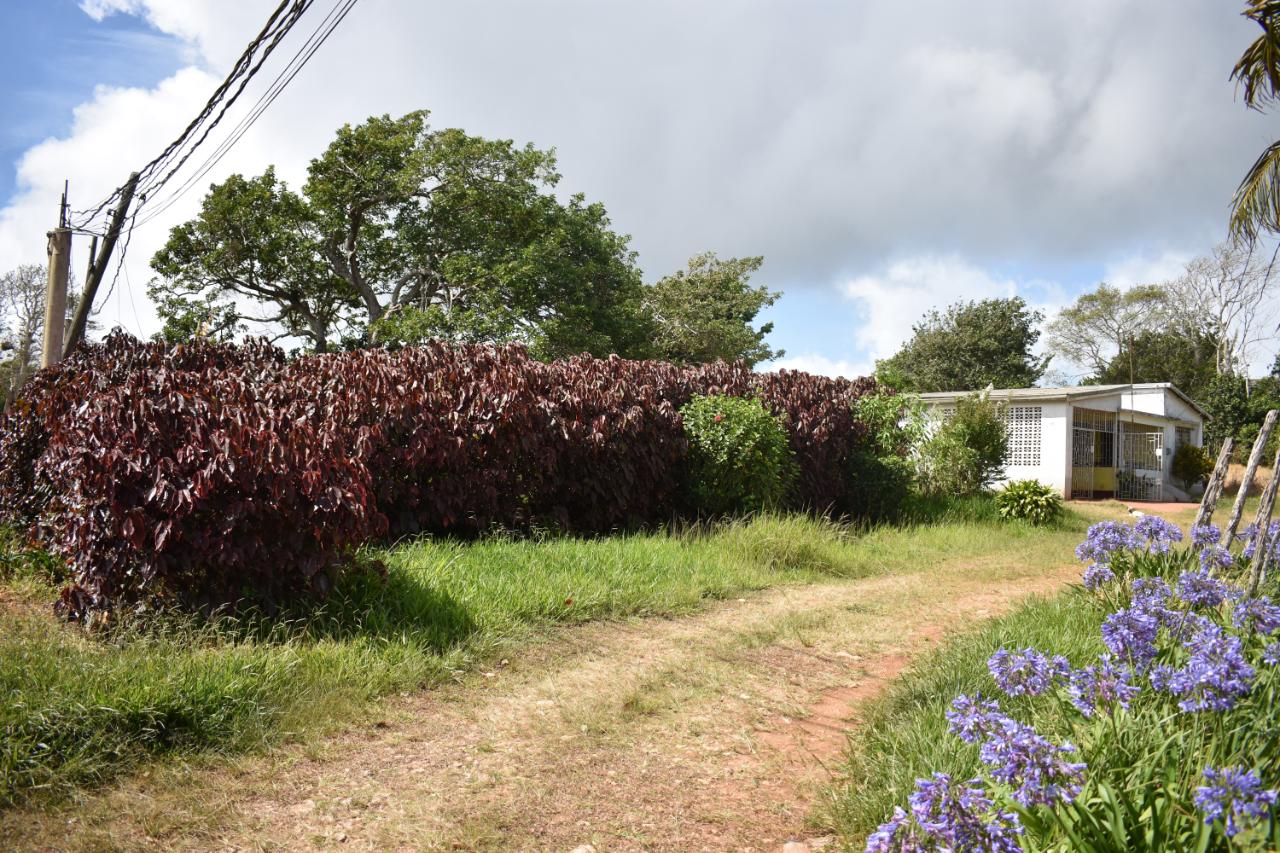 First image of Spur Tree in Spur Tree, Manchester, Jamaica - property is For Sale