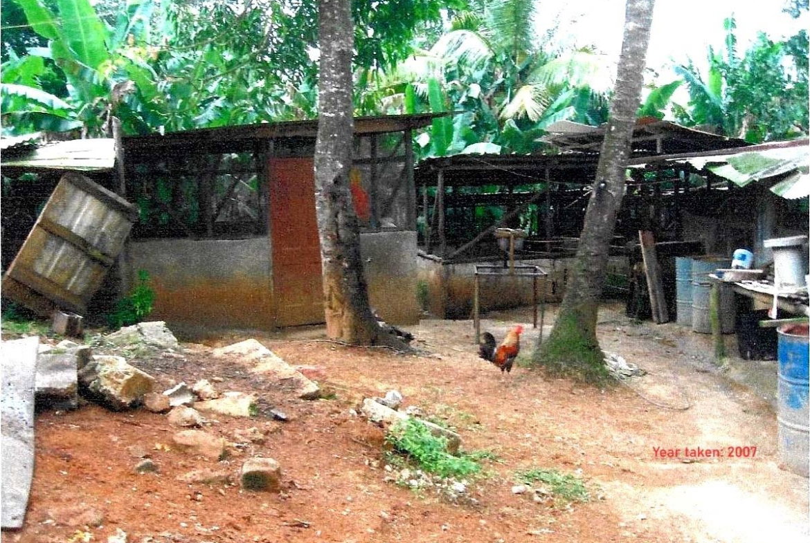 Eighth image of Moress pt of Cocking Hill, Guys in GUYS HILL, St. Catherine, Jamaica - property is For Sale