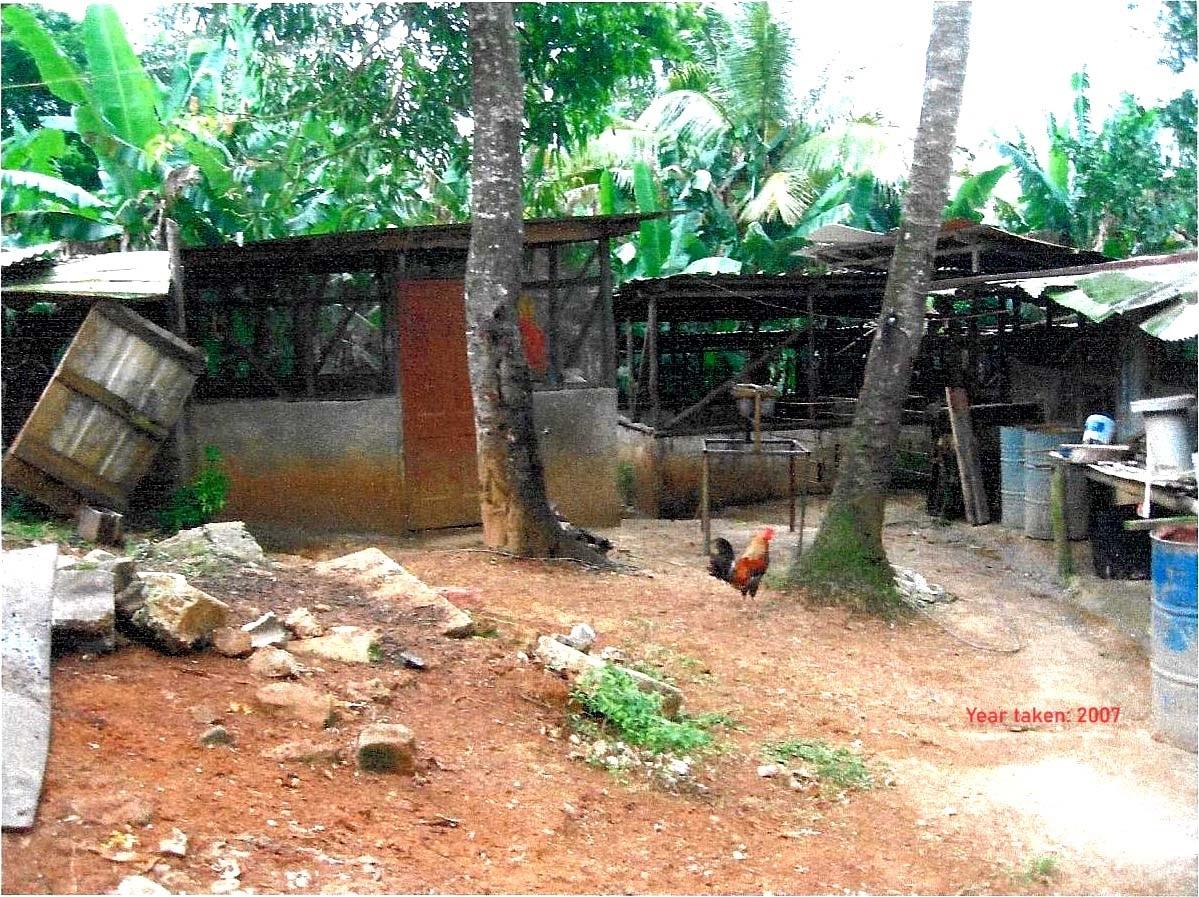Eighth image of Moress pt of Cocking Hill, Guys in GUYS HILL, St. Catherine, Jamaica - property is For Sale