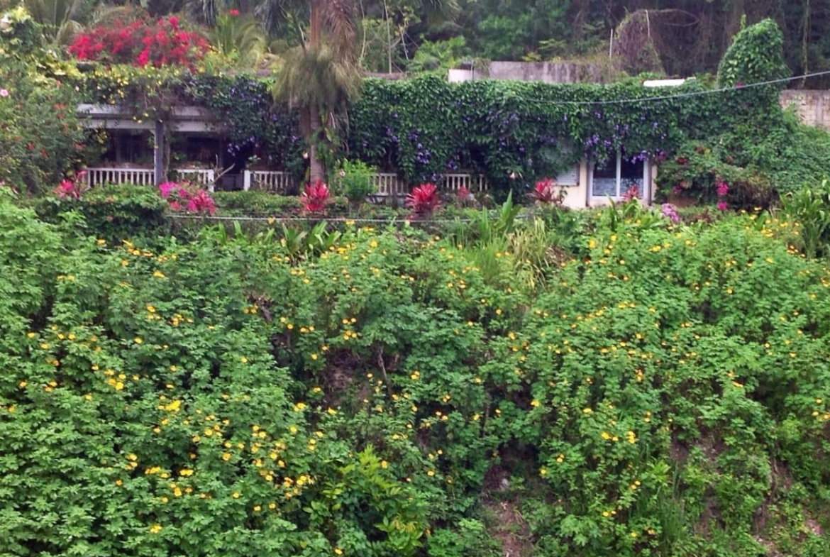First image of Lot 1 Rio Nuevo in Tower Isle, St. Mary, Jamaica - property is For Sale