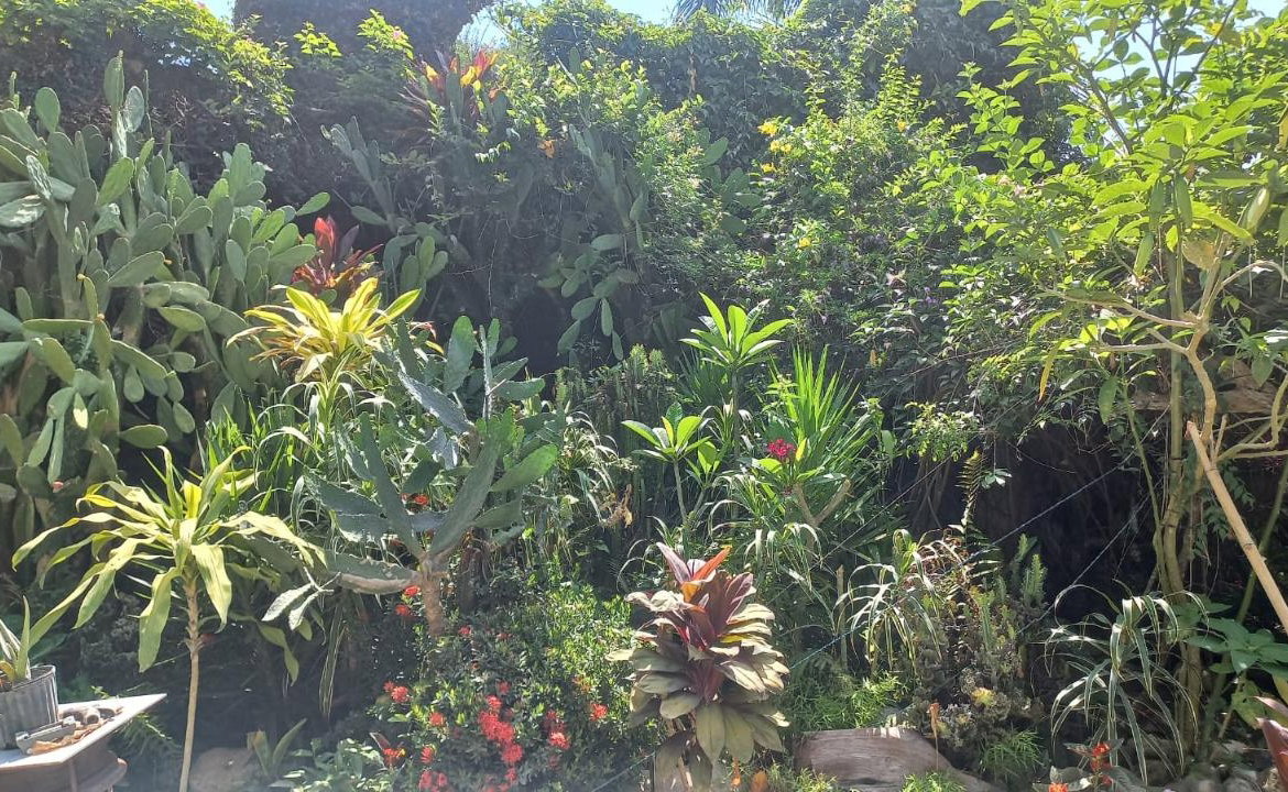 Third image of Lot 1 Rio Nuevo in Tower Isle, St. Mary, Jamaica - property is For Sale