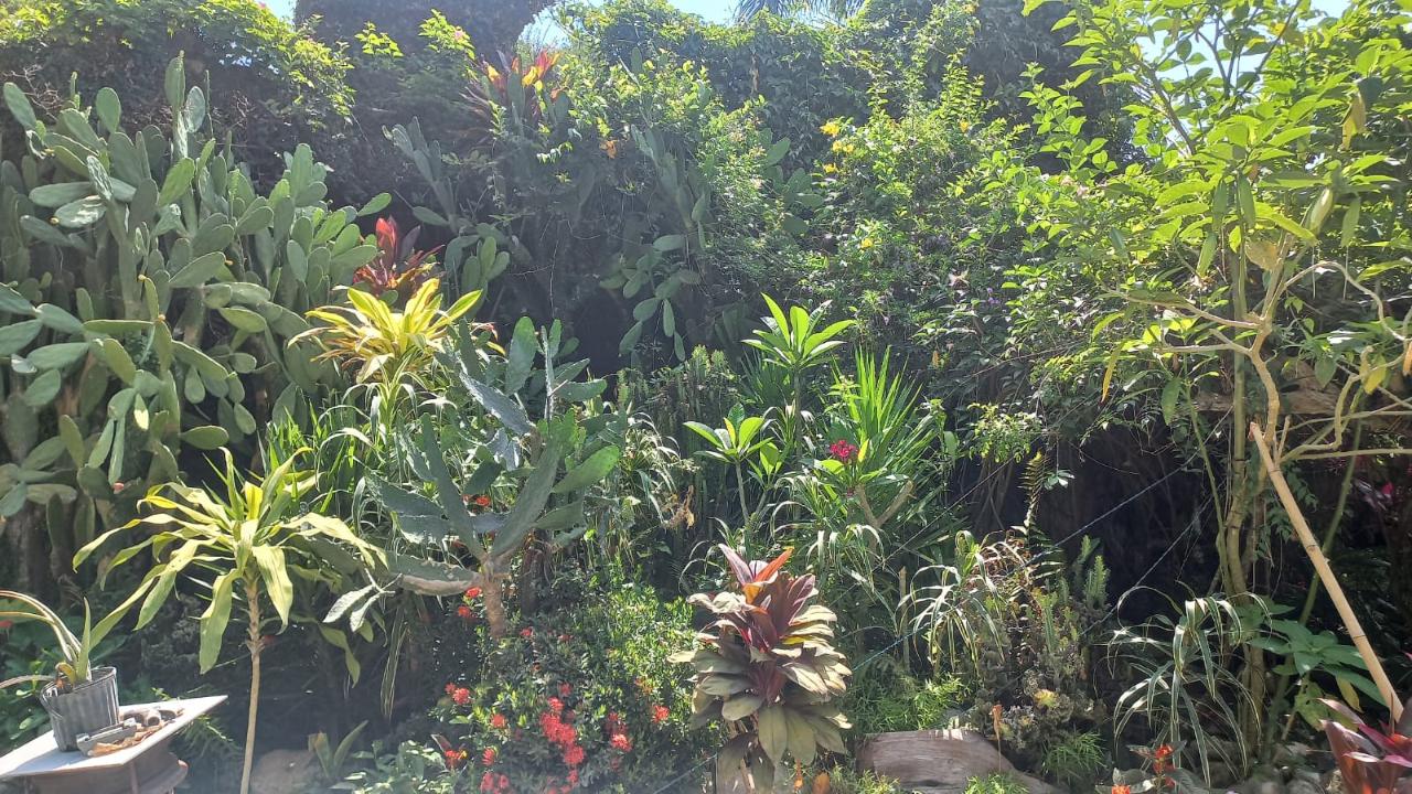 River-View-Garden-Estate-Eco-Friendly-Home-in-St.-Mary-Jamaica Third image of Lot 1 Rio Nuevo in Tower Isle, St. Mary, Jamaica - property is For Sale