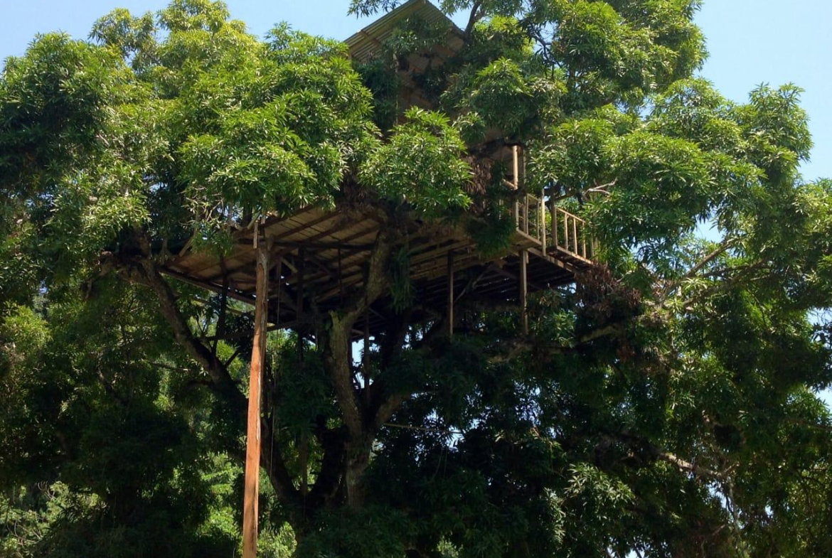 Twenty-First image of Lot 1 Rio Nuevo in Tower Isle, St. Mary, Jamaica - property is For Sale