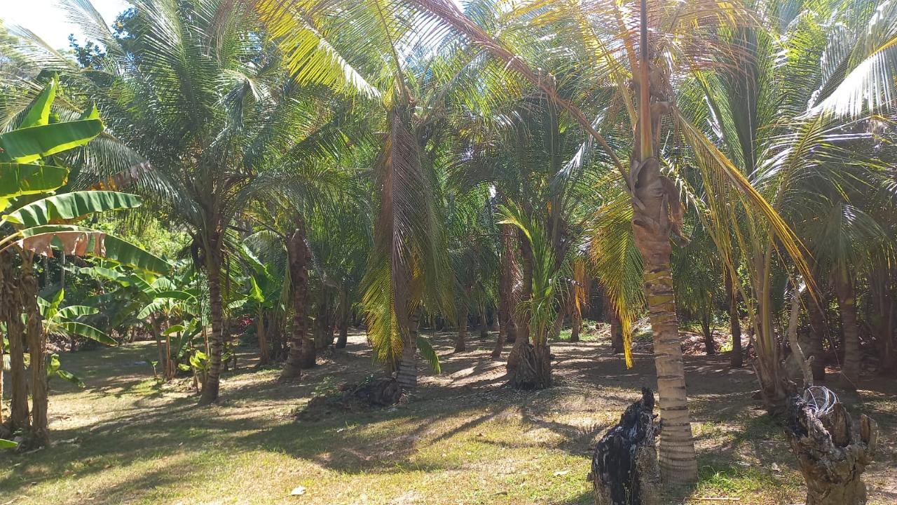 River-View-Garden-Estate-Eco-Friendly-Home-in-St.-Mary-Jamaica Twenty-Fourth image of Lot 1 Rio Nuevo in Tower Isle, St. Mary, Jamaica - property is For Sale