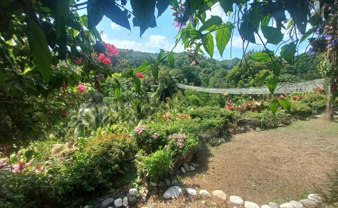 Fourth image of Lot 1 Rio Nuevo in Tower Isle, St. Mary, Jamaica - property is For Sale