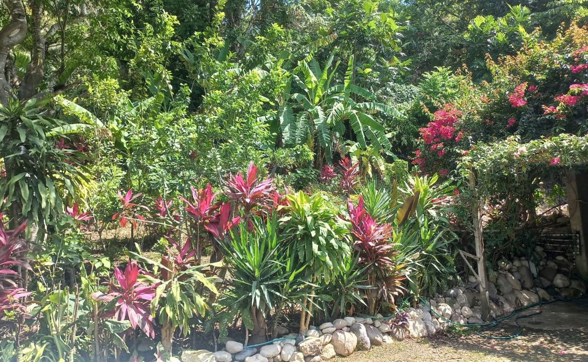Fifth image of Lot 1 Rio Nuevo in Tower Isle, St. Mary, Jamaica - property is For Sale