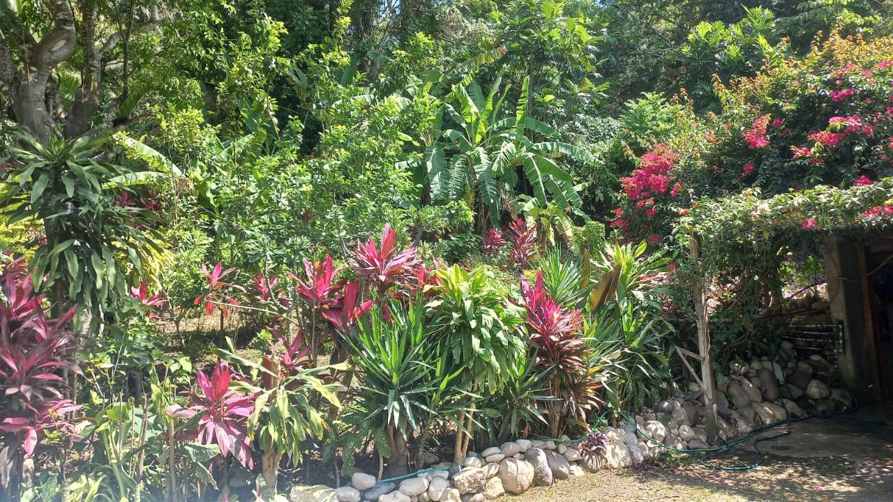 River-View-Garden-Estate-Eco-Friendly-Home-in-St.-Mary-Jamaica Fifth image of Lot 1 Rio Nuevo in Tower Isle, St. Mary, Jamaica - property is For Sale