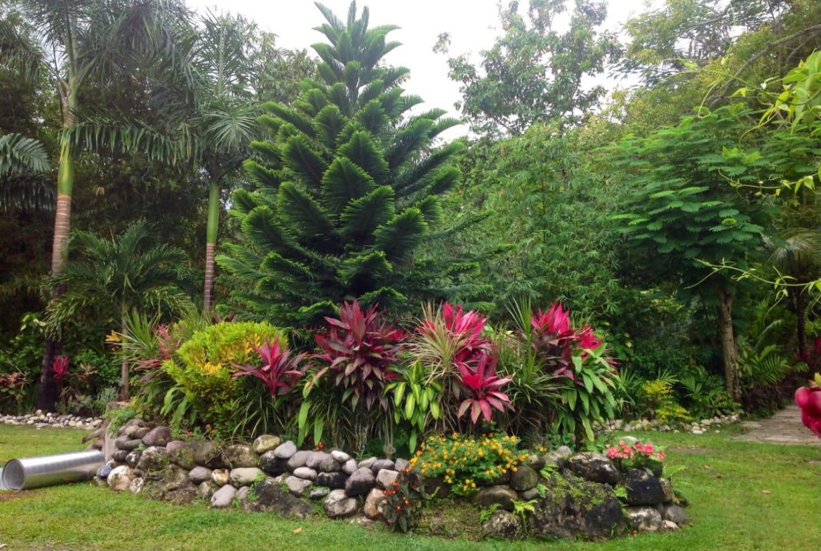 Sixth image of Lot 1 Rio Nuevo in Tower Isle, St. Mary, Jamaica - property is For Sale