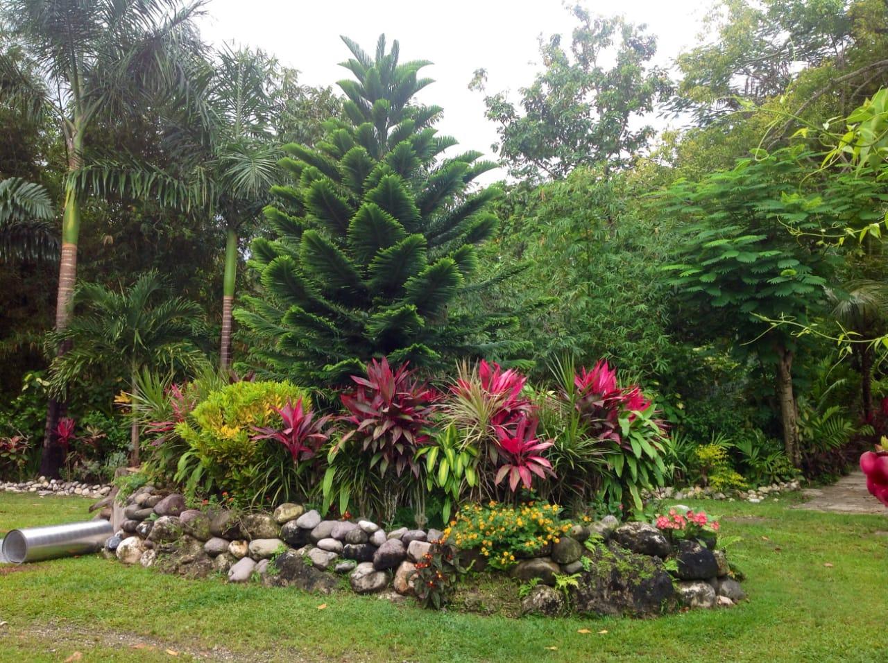 River-View-Garden-Estate-Eco-Friendly-Home-in-St.-Mary-Jamaica Sixth image of Lot 1 Rio Nuevo in Tower Isle, St. Mary, Jamaica - property is For Sale