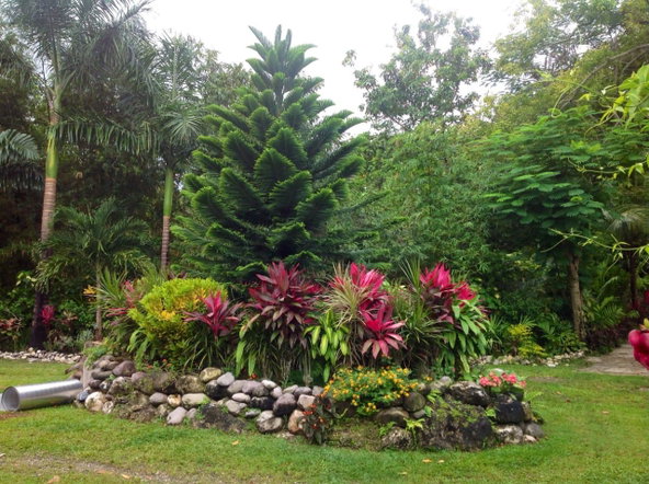 Sixth image of Lot 1 Rio Nuevo in Tower Isle, St. Mary, Jamaica - property is For Sale