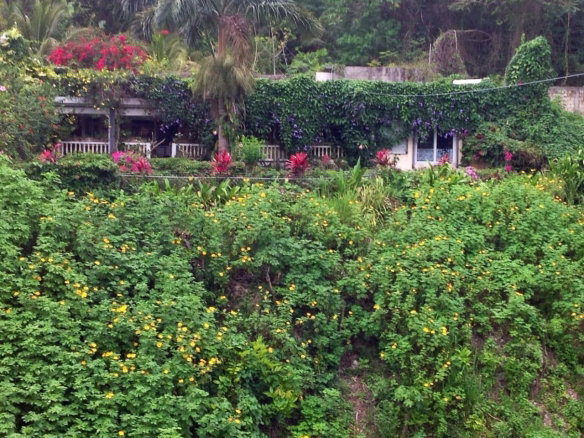 First image of Lot 1 Rio Nuevo in Tower Isle, St. Mary, Jamaica - property is For Sale