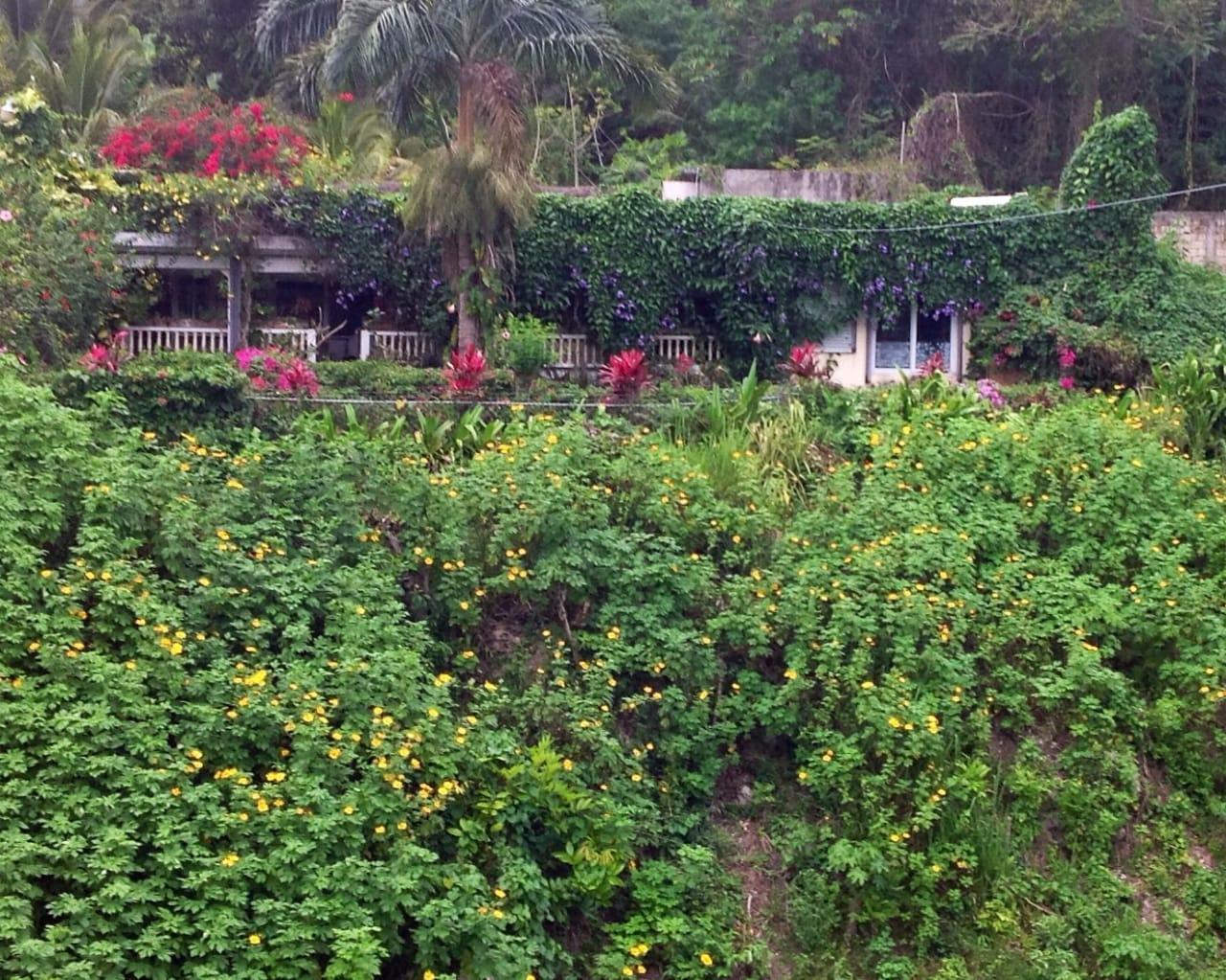 River-View-Garden-Estate-Eco-Friendly-Home-in-St.-Mary-Jamaica First image of Lot 1 Rio Nuevo in Tower Isle, St. Mary, Jamaica - property is For Sale