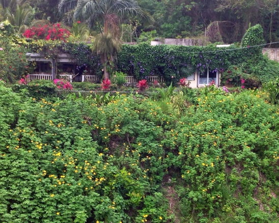 First image of Lot 1 Rio Nuevo in Tower Isle, St. Mary, Jamaica - property is For Sale