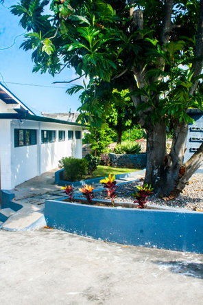 Twenty-Third image of #8 Beverely in Beverley, St. Ann, Jamaica - property is For Rent