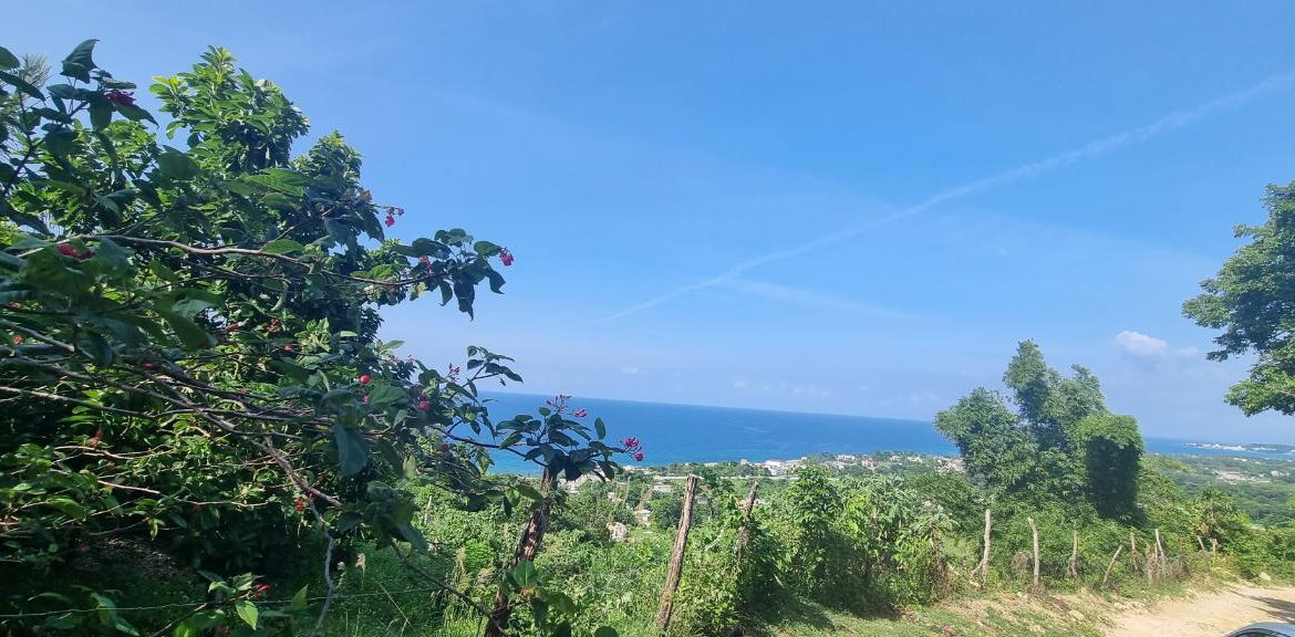 First image of Haughton Court in Lucea, Hanover, Jamaica - property is For Sale