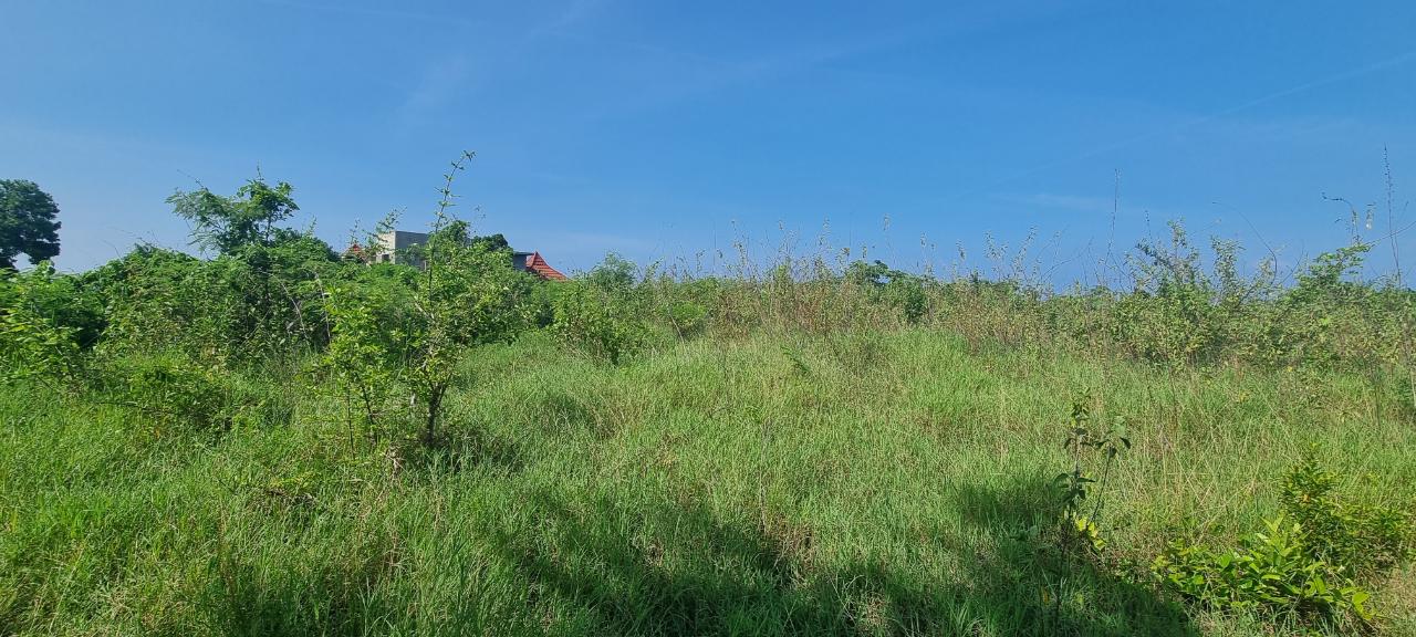 Third image of Haughton Court in Lucea, Hanover, Jamaica - property is For Sale