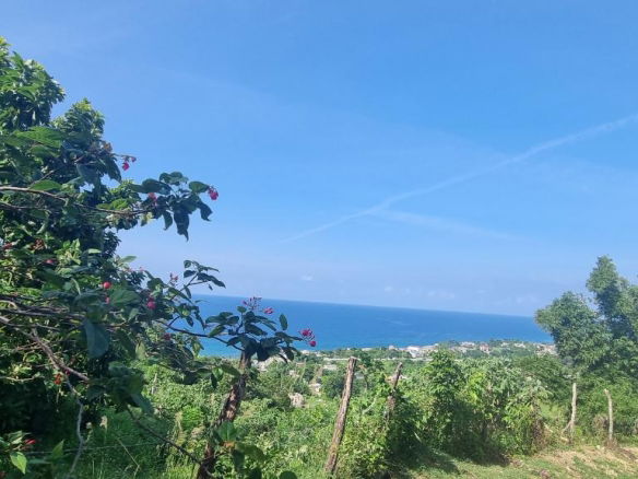 First image of Haughton Court in Lucea, Hanover, Jamaica - property is For Sale