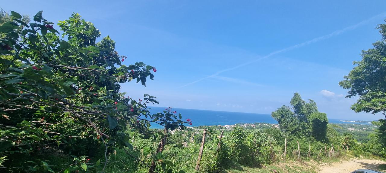 First image of Haughton Court in Lucea, Hanover, Jamaica - property is For Sale