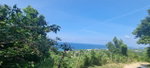 First image of Haughton Court in Lucea, Hanover, Jamaica - property is For Sale