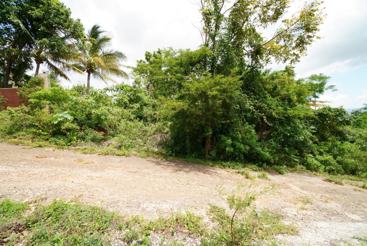 Second image of 3 Eglinton in Spur Tree, Manchester, Jamaica - property is For Sale