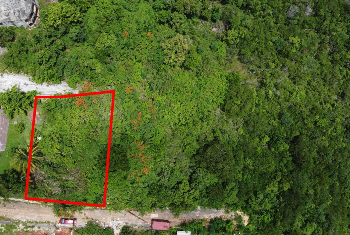 Fourth image of 3 Eglinton in Spur Tree, Manchester, Jamaica - property is For Sale
