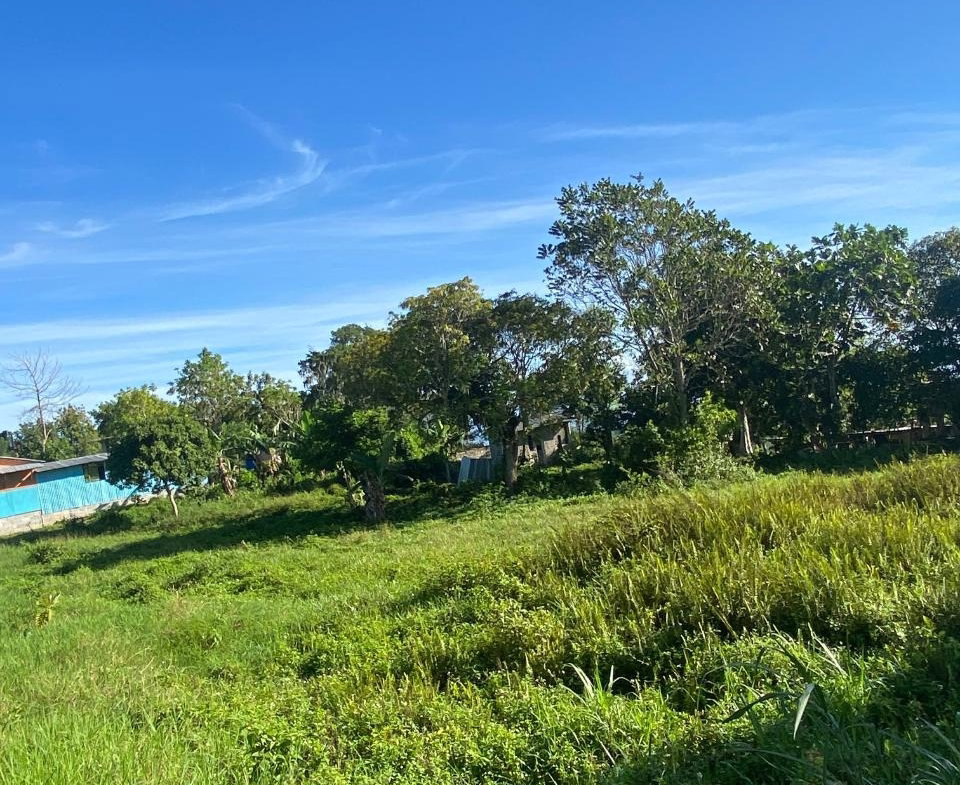 Fourth image of 3 Beecher Town in Beecher Town, St. Ann, Jamaica - property is For Sale