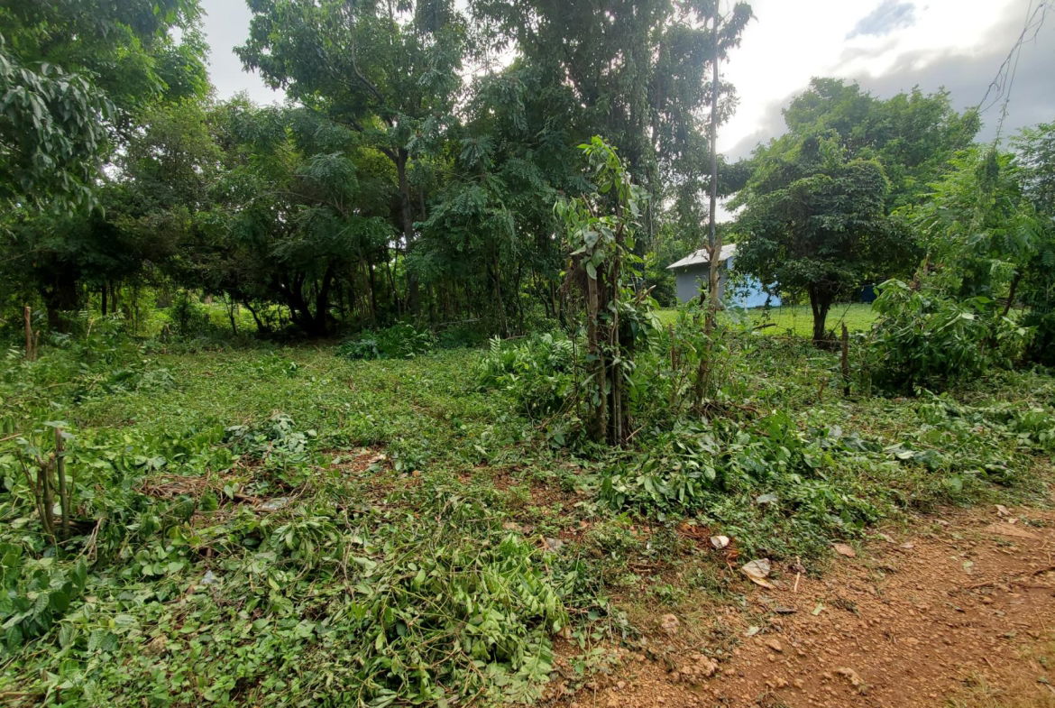 Scenic-9221-sqft-Residential-Lot-for-Sale-in-Belle-Castle-Portland Eleventh image of Belle Castle, Portland in Belle Castle, Portland, Jamaica - property is For Sale