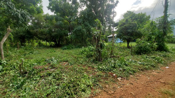 Eleventh image of Belle Castle, Portland in Belle Castle, Portland, Jamaica - property is For Sale