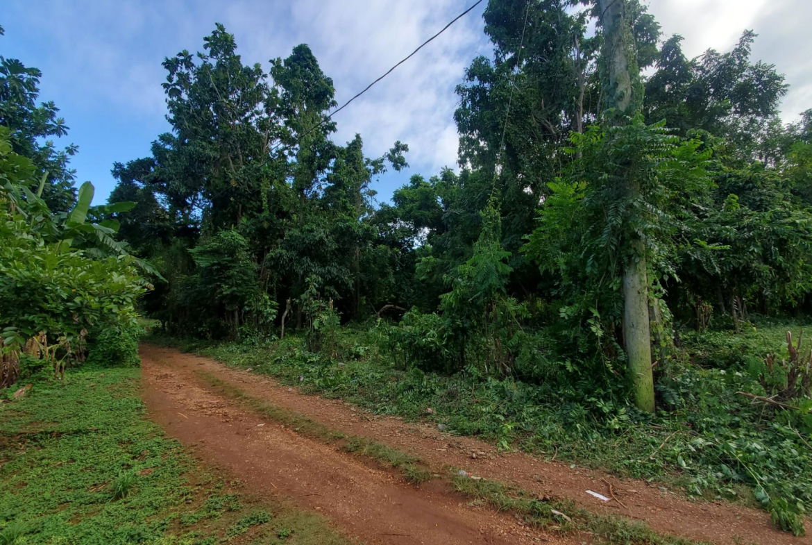 Scenic-9221-sqft-Residential-Lot-for-Sale-in-Belle-Castle-Portland Twelfth image of Belle Castle, Portland in Belle Castle, Portland, Jamaica - property is For Sale