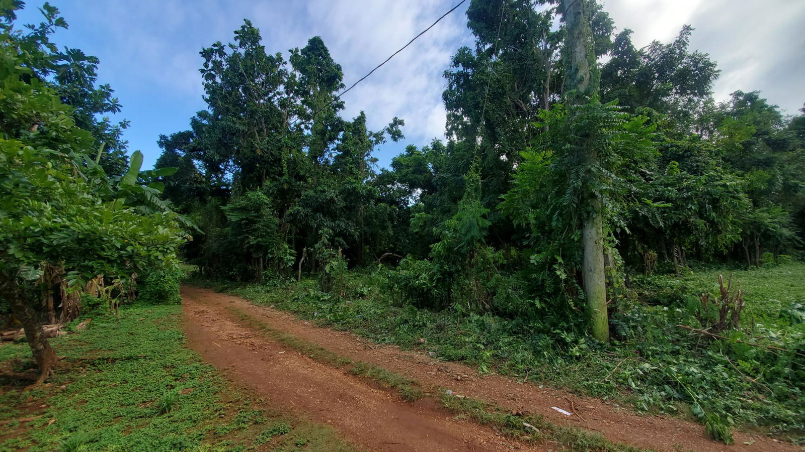 Scenic-9221-sqft-Residential-Lot-for-Sale-in-Belle-Castle-Portland Twelfth image of Belle Castle, Portland in Belle Castle, Portland, Jamaica - property is For Sale