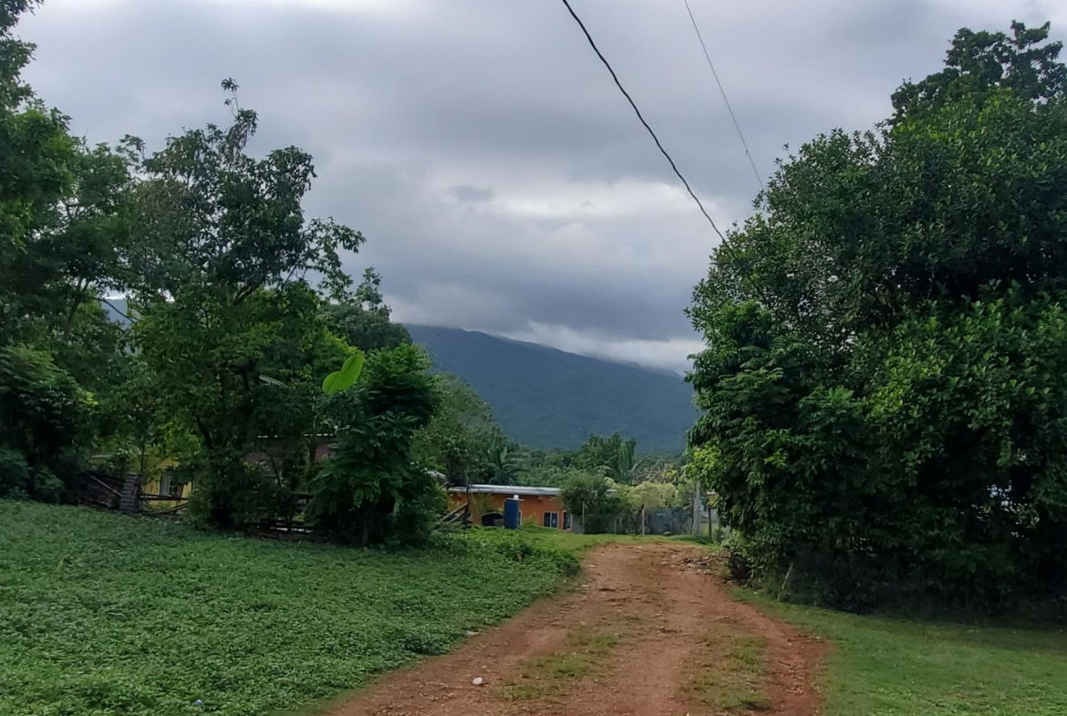 Scenic-9221-sqft-Residential-Lot-for-Sale-in-Belle-Castle-Portland First image of Belle Castle, Portland in Belle Castle, Portland, Jamaica - property is For Sale