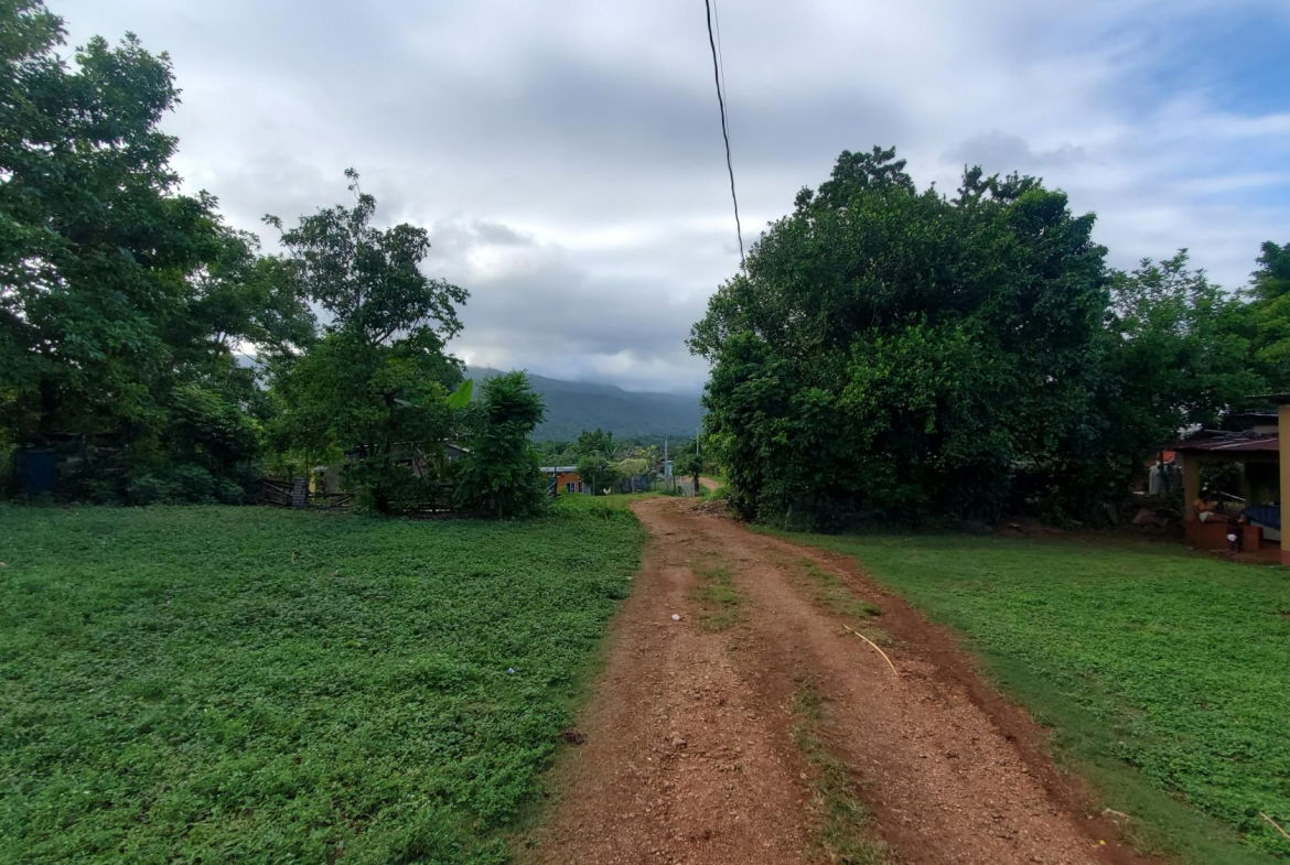 Scenic-9221-sqft-Residential-Lot-for-Sale-in-Belle-Castle-Portland Thirteenth image of Belle Castle, Portland in Belle Castle, Portland, Jamaica - property is For Sale