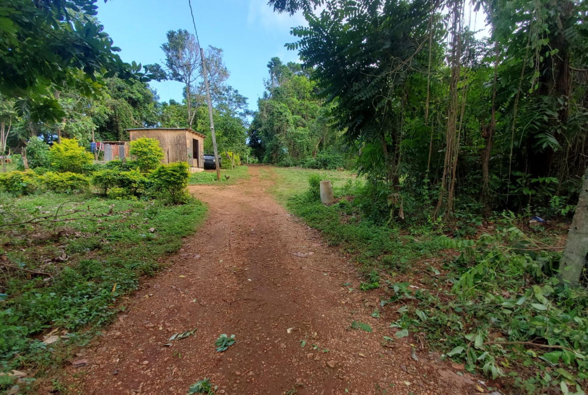 Scenic-9221-sqft-Residential-Lot-for-Sale-in-Belle-Castle-Portland Fourteenth image of Belle Castle, Portland in Belle Castle, Portland, Jamaica - property is For Sale