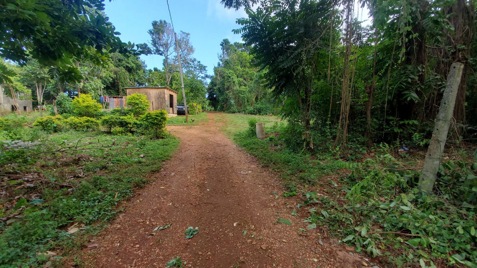 Scenic-9221-sqft-Residential-Lot-for-Sale-in-Belle-Castle-Portland Fourteenth image of Belle Castle, Portland in Belle Castle, Portland, Jamaica - property is For Sale
