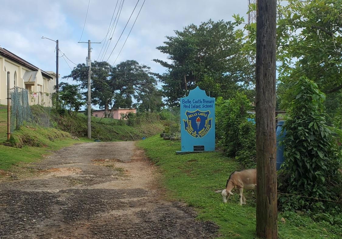 Scenic-9221-sqft-Residential-Lot-for-Sale-in-Belle-Castle-Portland Fifteenth image of Belle Castle, Portland in Belle Castle, Portland, Jamaica - property is For Sale