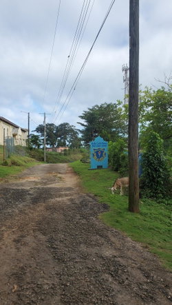 Fifteenth image of Belle Castle, Portland in Belle Castle, Portland, Jamaica - property is For Sale
