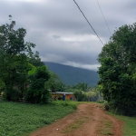 First image of Belle Castle, Portland in Belle Castle, Portland, Jamaica - property is For Sale