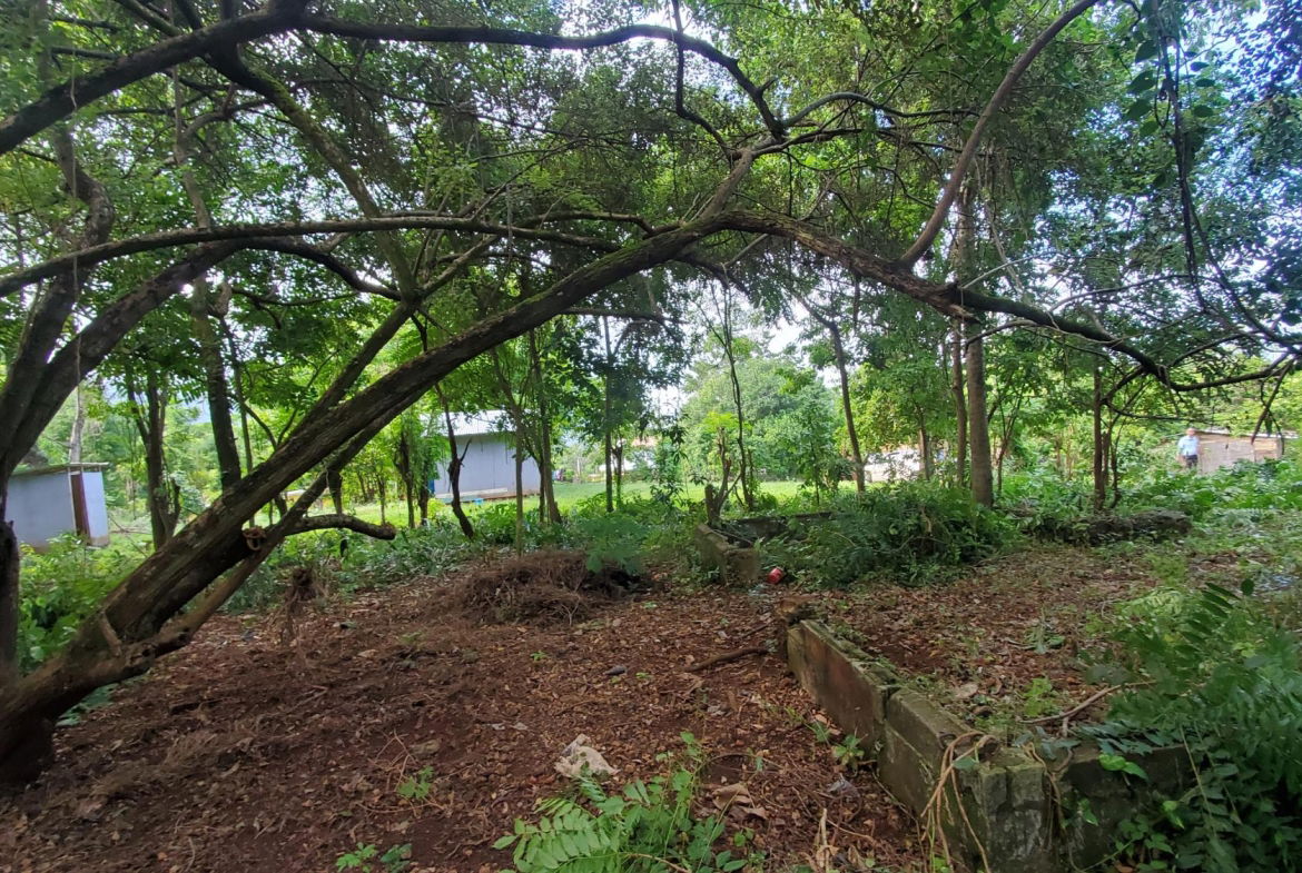 Scenic-9221-sqft-Residential-Lot-for-Sale-in-Belle-Castle-Portland Third image of Belle Castle, Portland in Belle Castle, Portland, Jamaica - property is For Sale