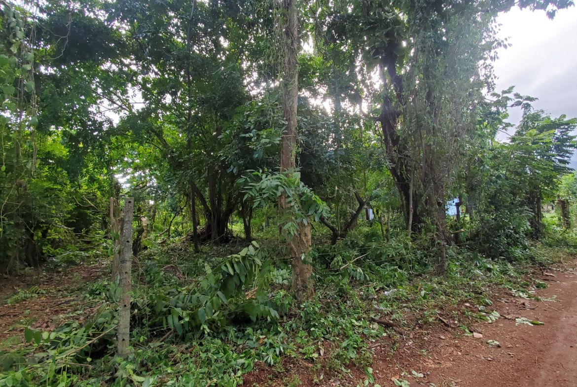 Scenic-9221-sqft-Residential-Lot-for-Sale-in-Belle-Castle-Portland Sixth image of Belle Castle, Portland in Belle Castle, Portland, Jamaica - property is For Sale