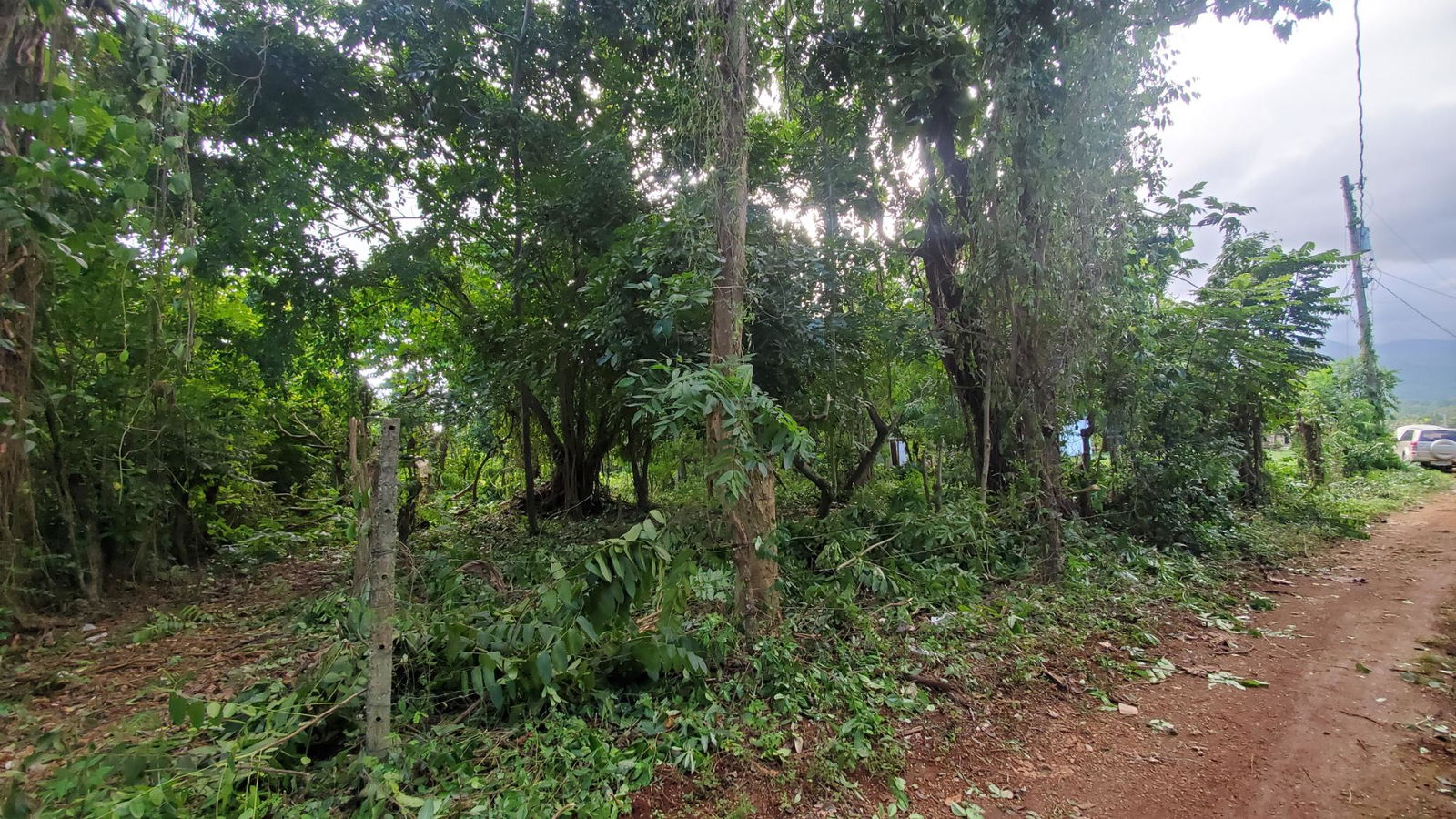 Scenic-9221-sqft-Residential-Lot-for-Sale-in-Belle-Castle-Portland Sixth image of Belle Castle, Portland in Belle Castle, Portland, Jamaica - property is For Sale