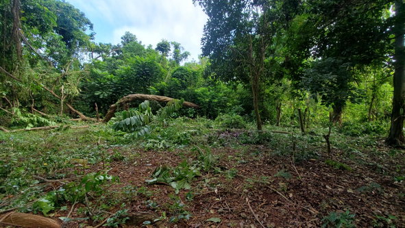 Seventh image of Belle Castle, Portland in Belle Castle, Portland, Jamaica - property is For Sale
