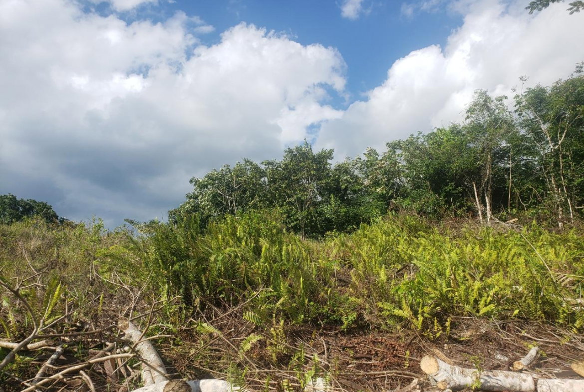 Third image of 58- Lake View Close, Moneague in Moneague, St. Ann, Jamaica - property is For Sale