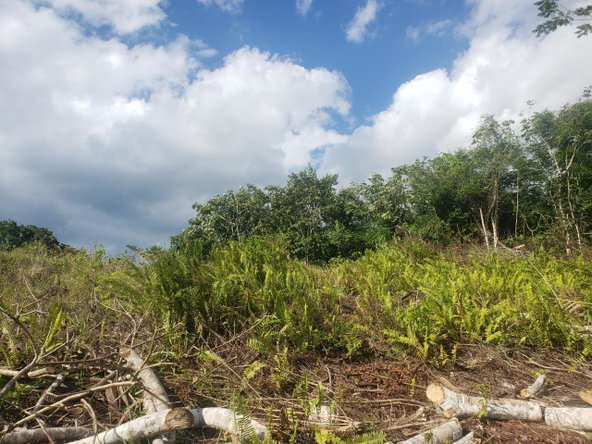 Third image of 58- Lake View Close, Moneague in Moneague, St. Ann, Jamaica - property is For Sale