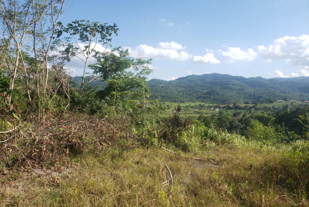 Fourth image of 58- Lake View Close, Moneague in Moneague, St. Ann, Jamaica - property is For Sale