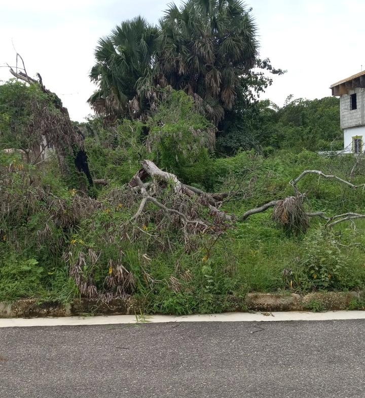 Second image of 38 Corby Estate, Lacovia in Lacovia, St. Elizabeth, Jamaica - property is For Sale