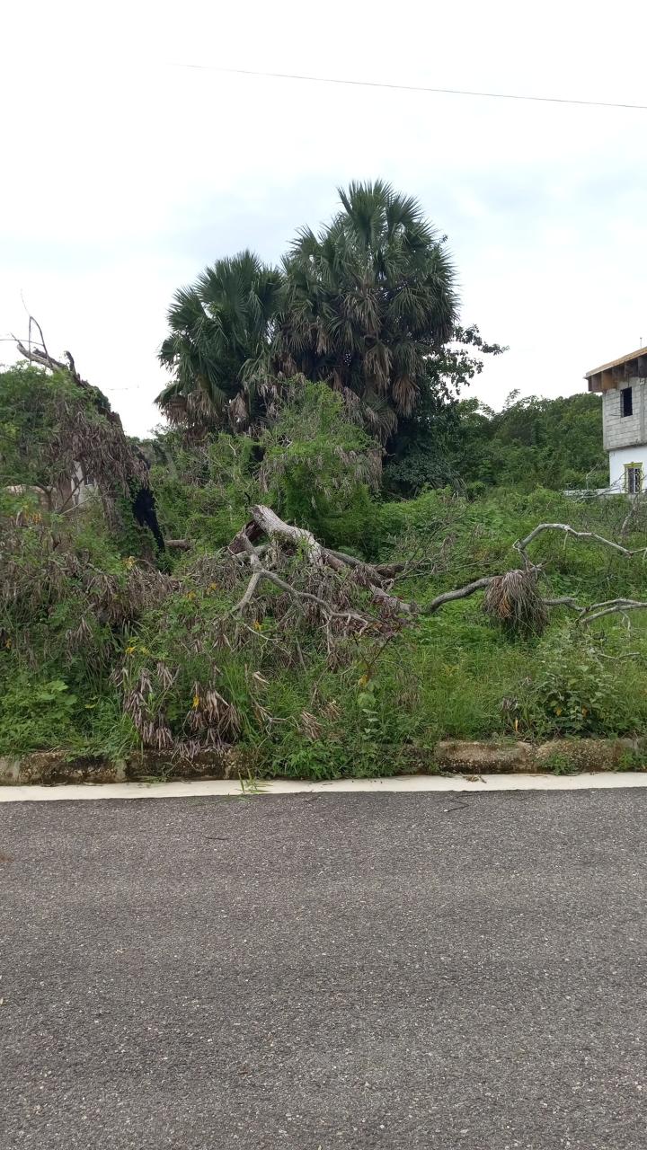 Second image of 38 Corby Estate, Lacovia in Lacovia, St. Elizabeth, Jamaica - property is For Sale