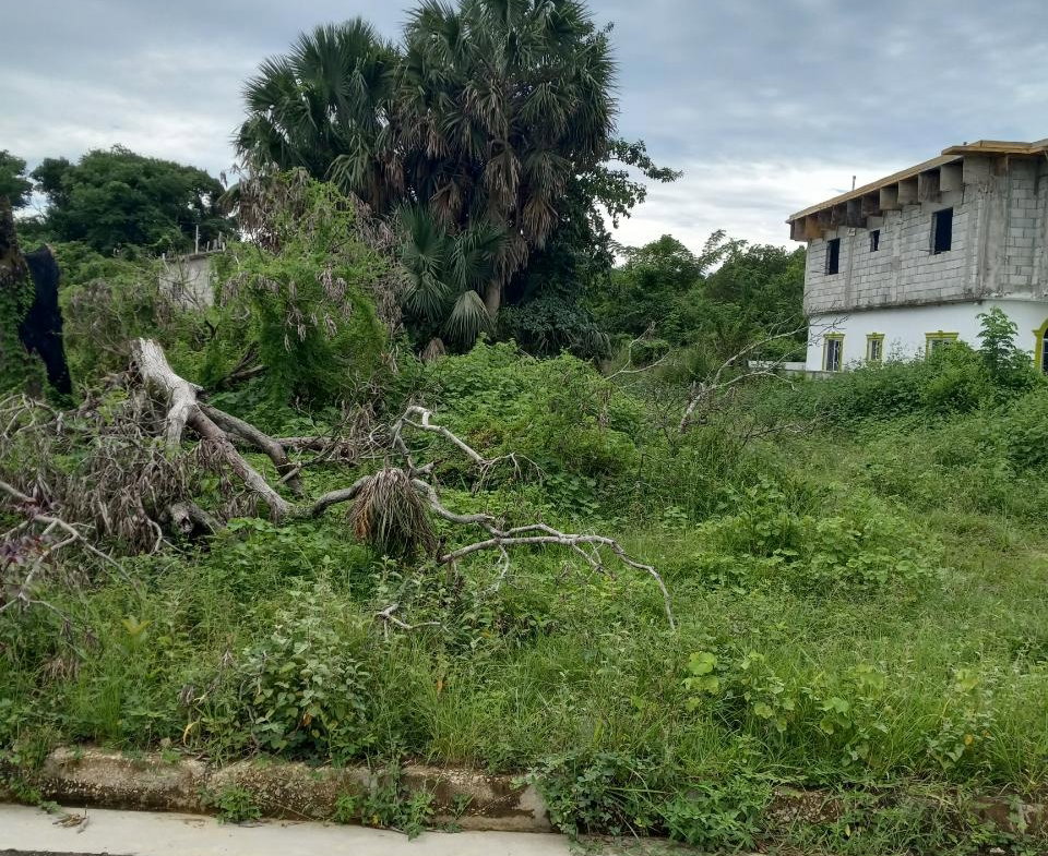 Sixth image of 38 Corby Estate, Lacovia in Lacovia, St. Elizabeth, Jamaica - property is For Sale