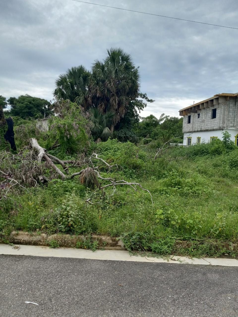 Sixth image of 38 Corby Estate, Lacovia in Lacovia, St. Elizabeth, Jamaica - property is For Sale